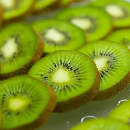 St Gregory Park Hotel Rimini