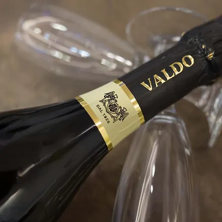 Hotel St Gregory Park Rimini